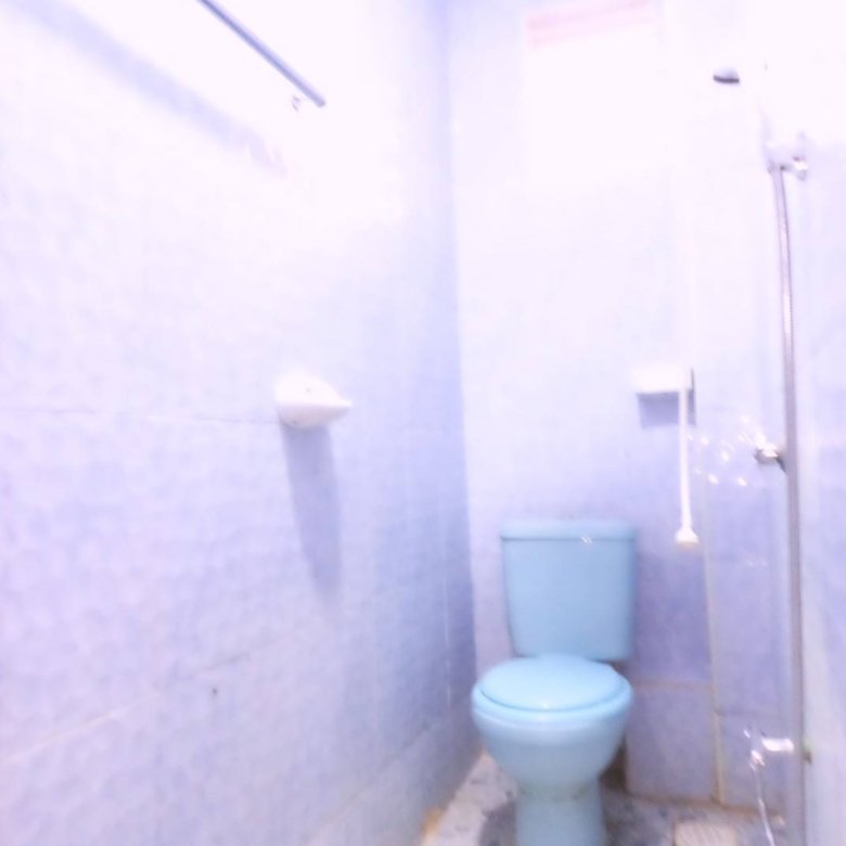 1 Bedroom Apartment To Let in Ruiru (BTL)