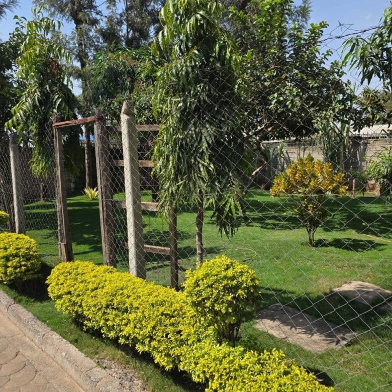 4 Bedroom Bungalow To Let - Utawala Shooters