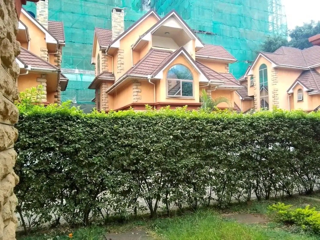 5-Bedroom + SQ House for Rent in Lavington