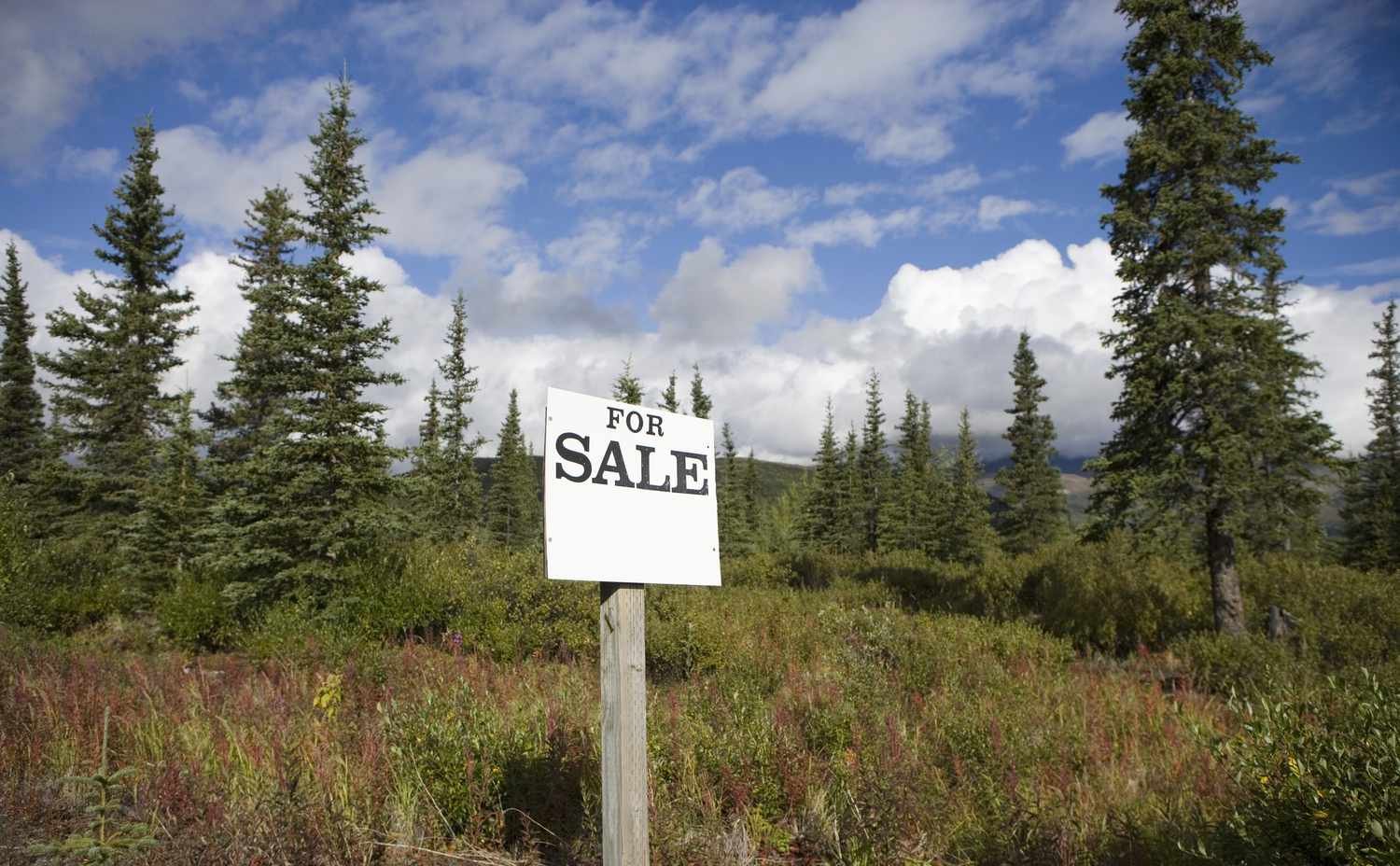 5 Must-Ask Questions Before Purchasing Land