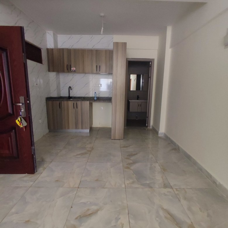Spacious 1-Bedroom Apartment for Rent in Kileleshwa