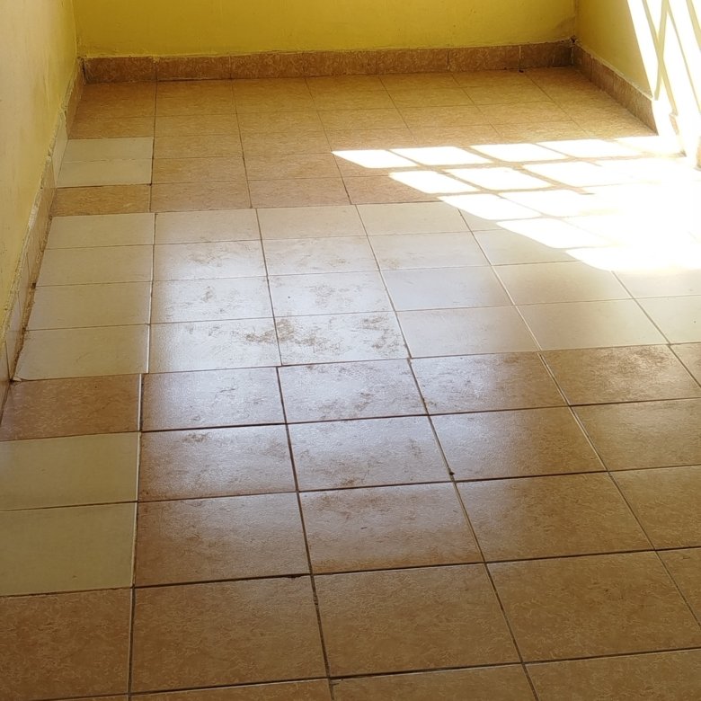 Bedsitter To Let – Roysambu Zimmerman