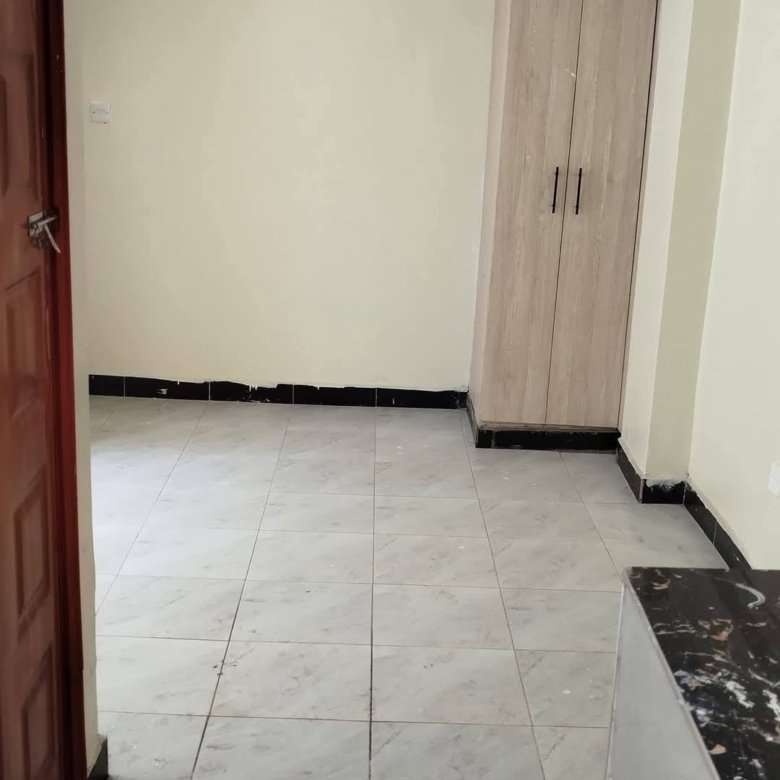 Modern Bedsitter To Let – Roysambu Zimmerman