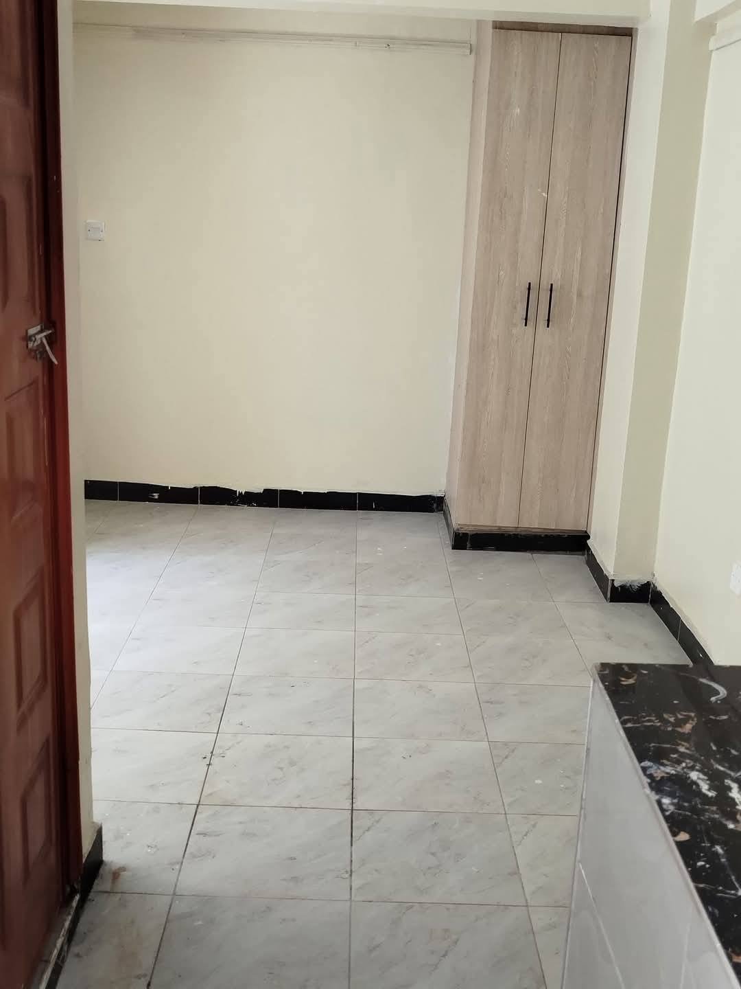 Modern Bedsitter To Let – Roysambu Zimmerman