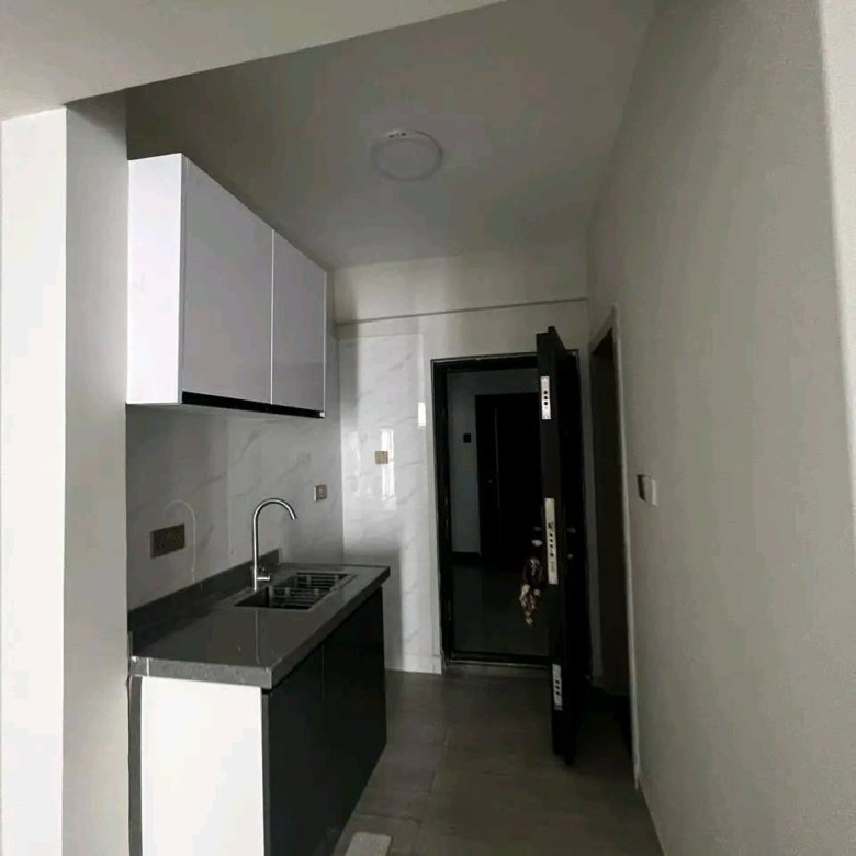 Modern Studio Apartment To Let in Kileleshwa