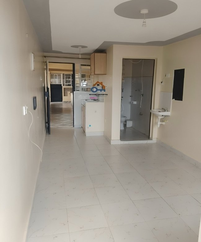 Bedsitter To Let in Kasarani Garage