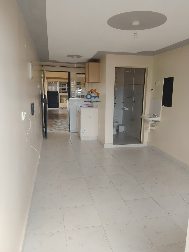 Bedsitter To Let in Kasarani Garage