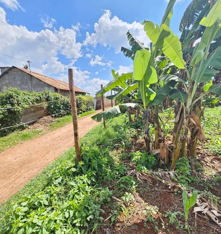 Prime Land for Lease on Kiambu Road