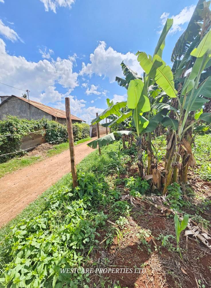 Prime Land for Lease on Kiambu Road