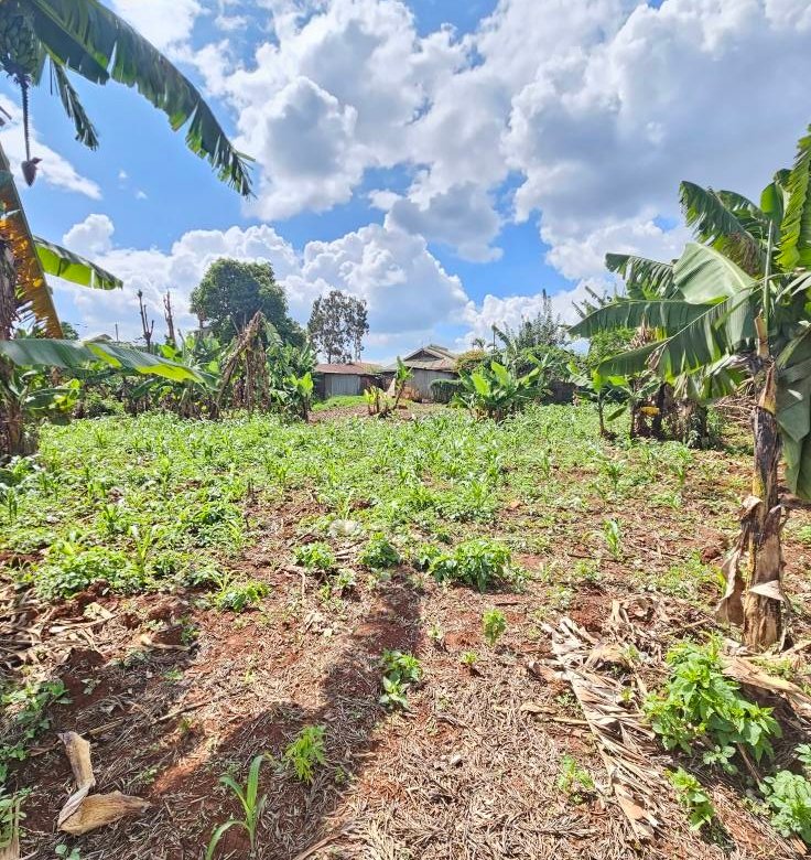 Prime Land for Lease on Kiambu Road