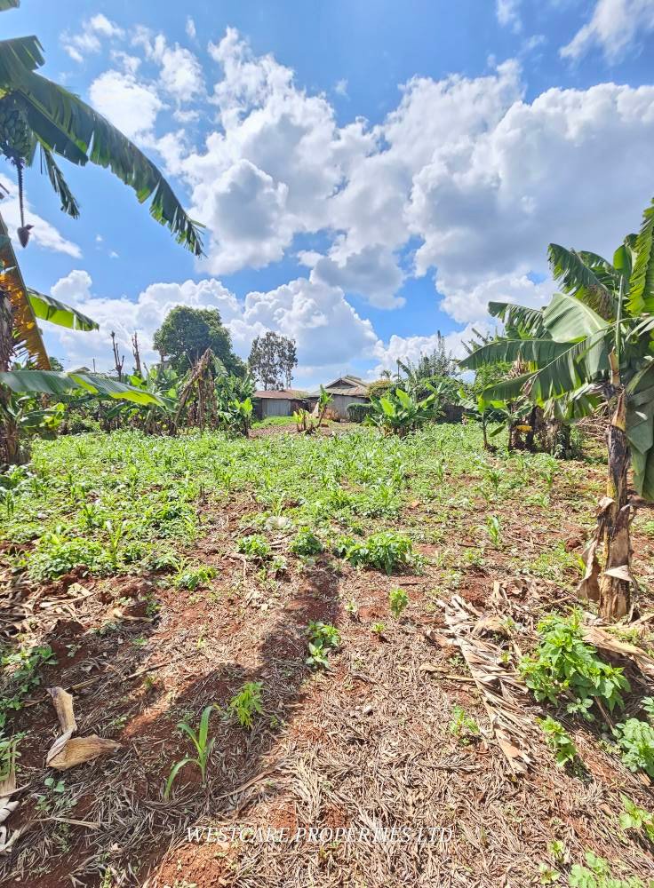 Prime Land for Lease on Kiambu Road