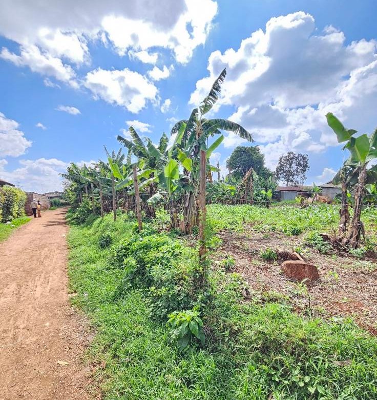 Prime Land for Lease on Kiambu Road