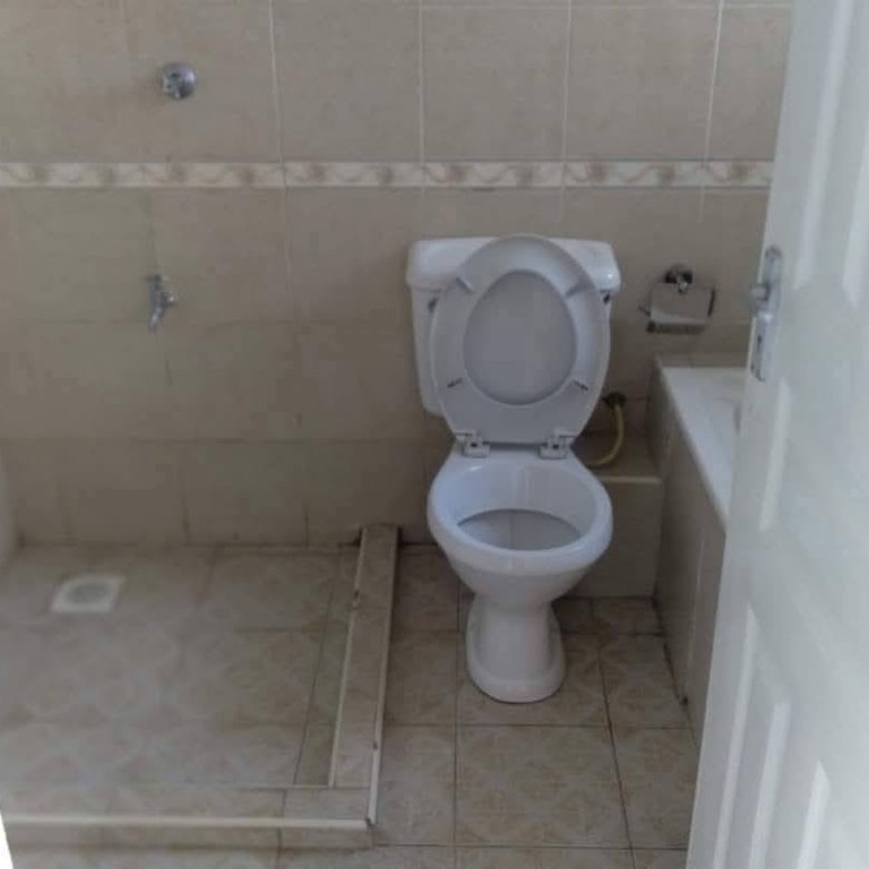 3 Bedroom Master Ensuite House + DSQ To Let – Syokimau
