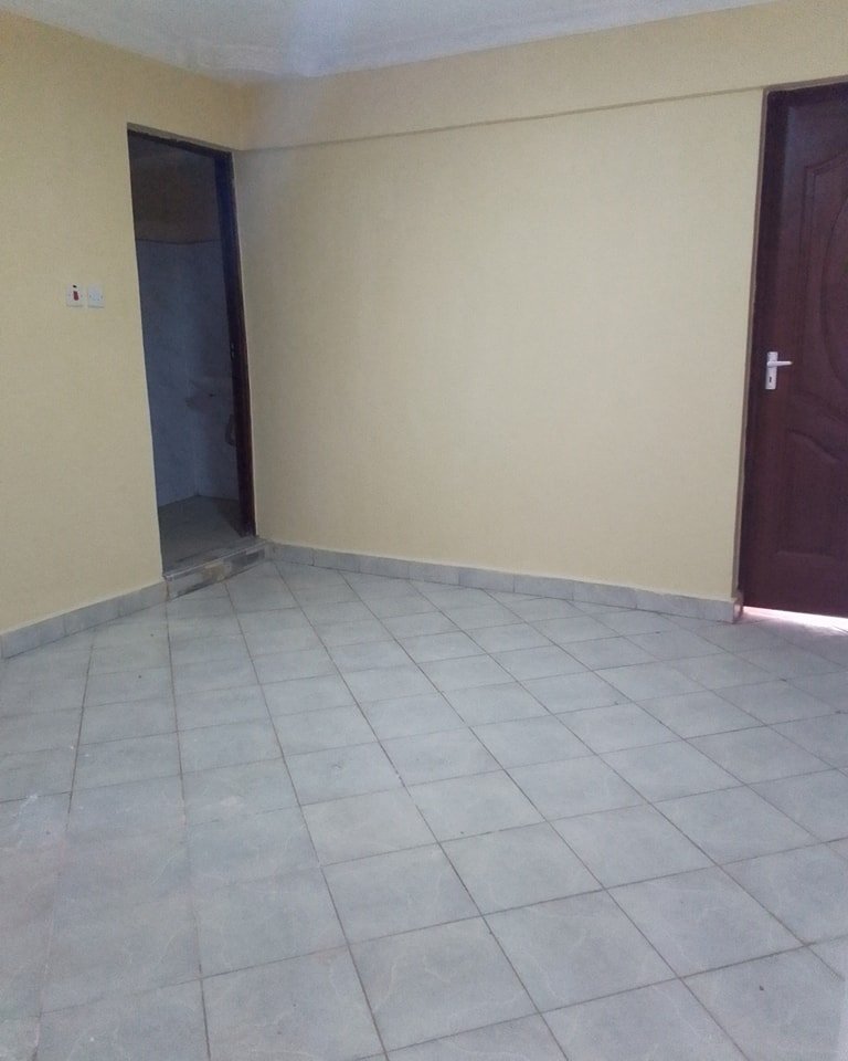 Bedsitter Apartment To Let in Umoja Innercore