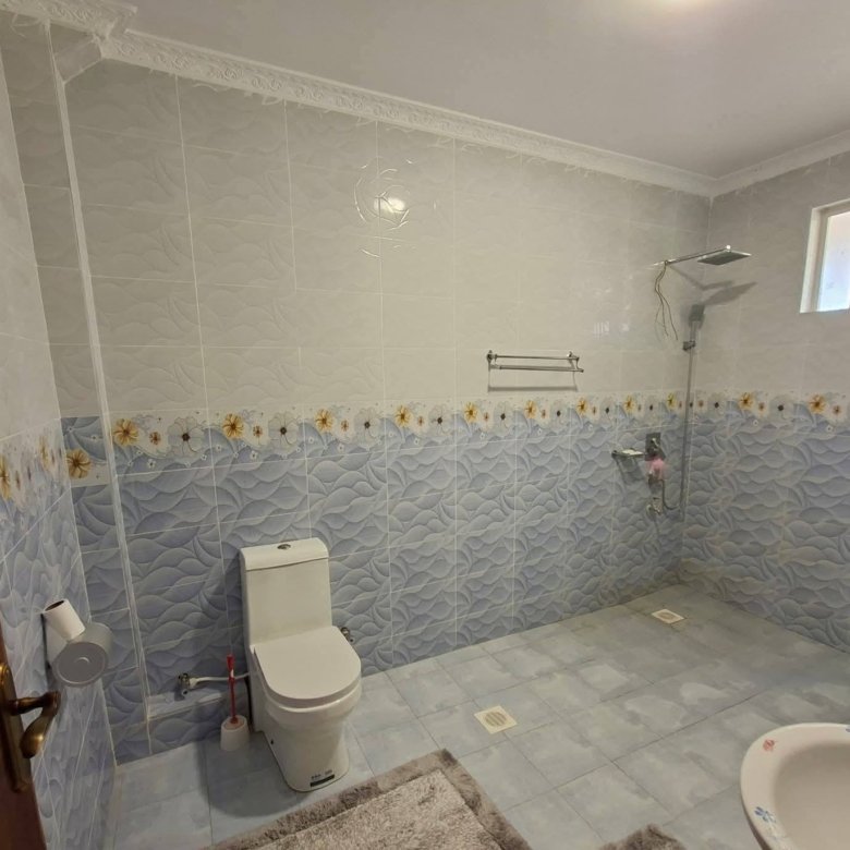 Exquisite 5 Bedroom House + 2 Bedroom DSQ For Rent Syokimau