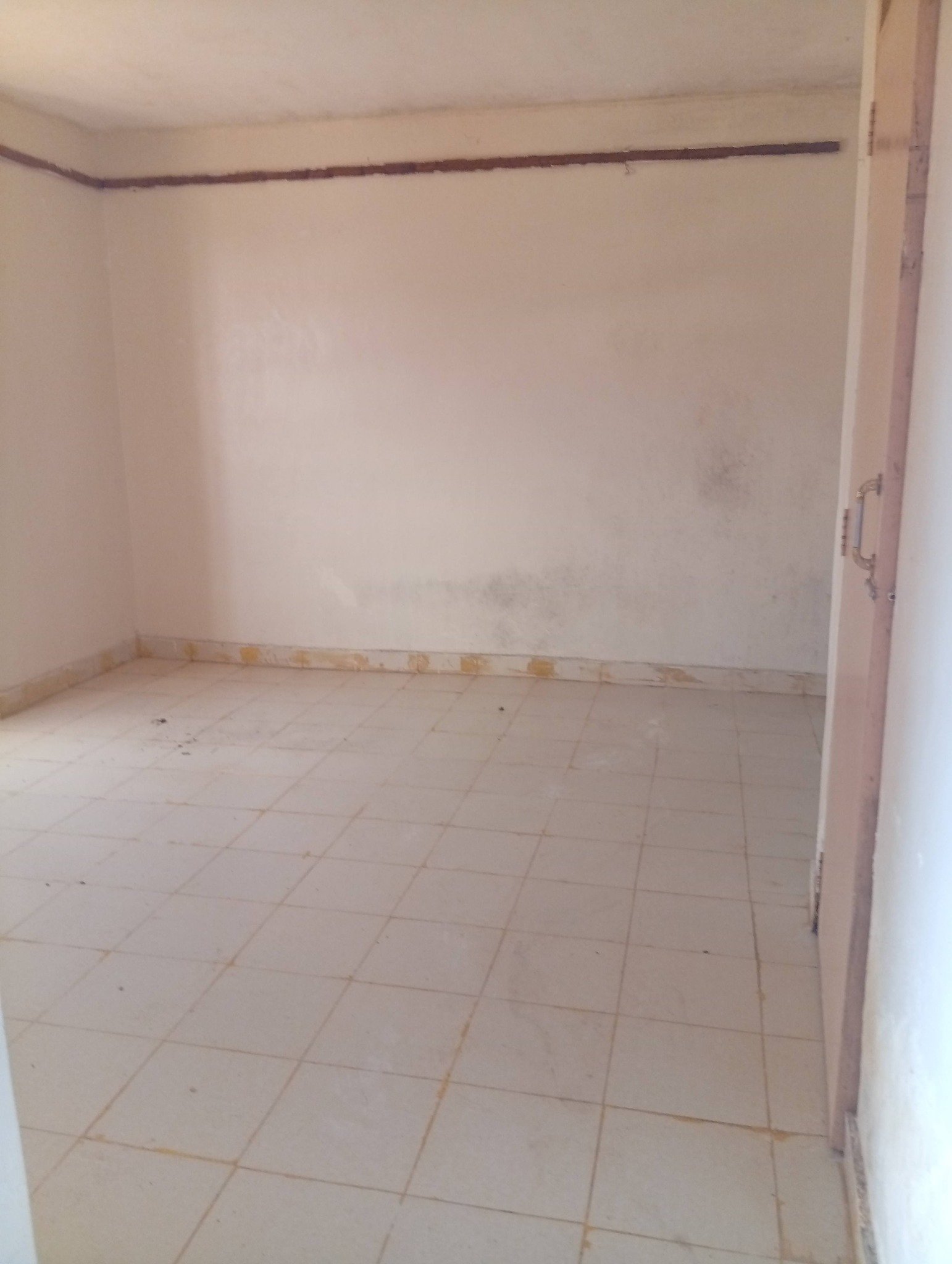 Spacious Bedsitter Apartments To Let in Witeithie