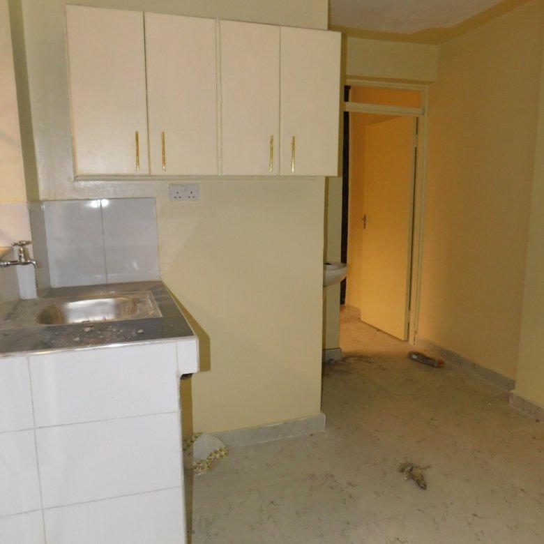 1 Bedroom units at Kasarani Garage