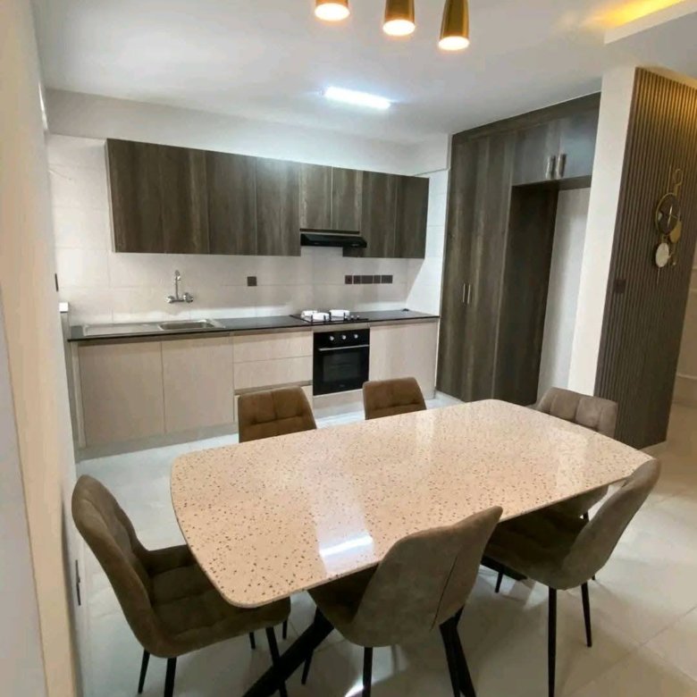 2 Bedroom classy apartments for rent in Syokimau