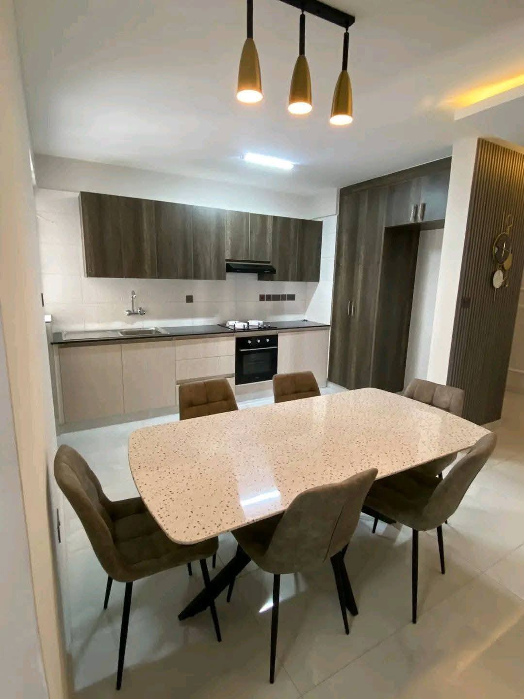 2 Bedroom classy apartments for rent in Syokimau