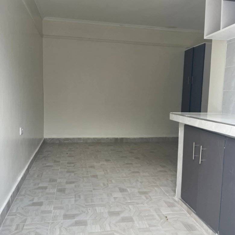 Bedsitter To Let in Ngong Vet 1