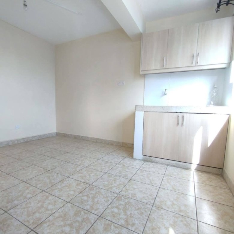 Modern Bedsitter To Let in Nairobi West