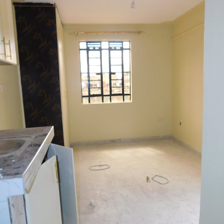 Newly Built Bedsitters – Kasarani Garage