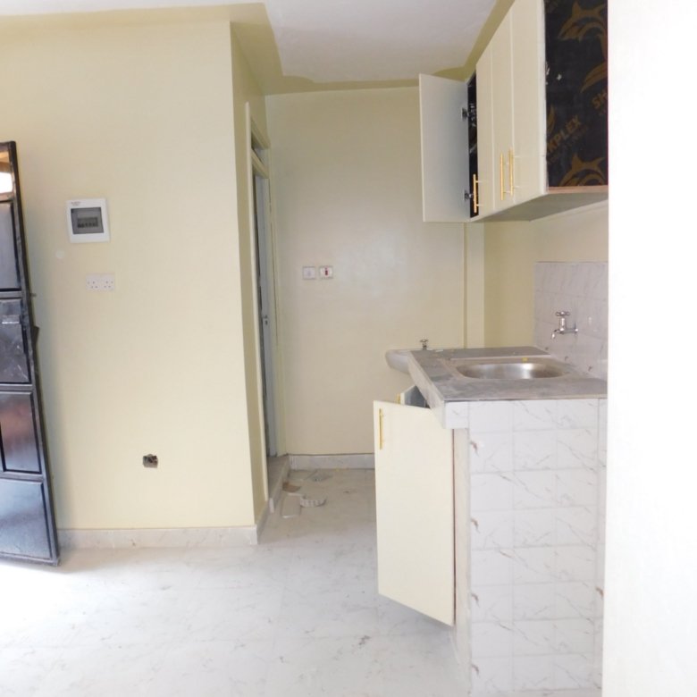 Newly Built Bedsitters – Kasarani Garage