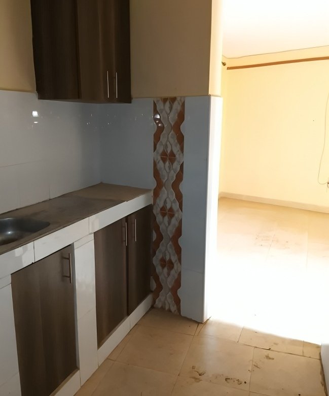 One Bedroom to let in Kasarani Garage