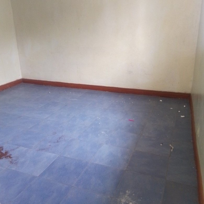 1 Bedroom To Let in Umoja 1 Near Unity