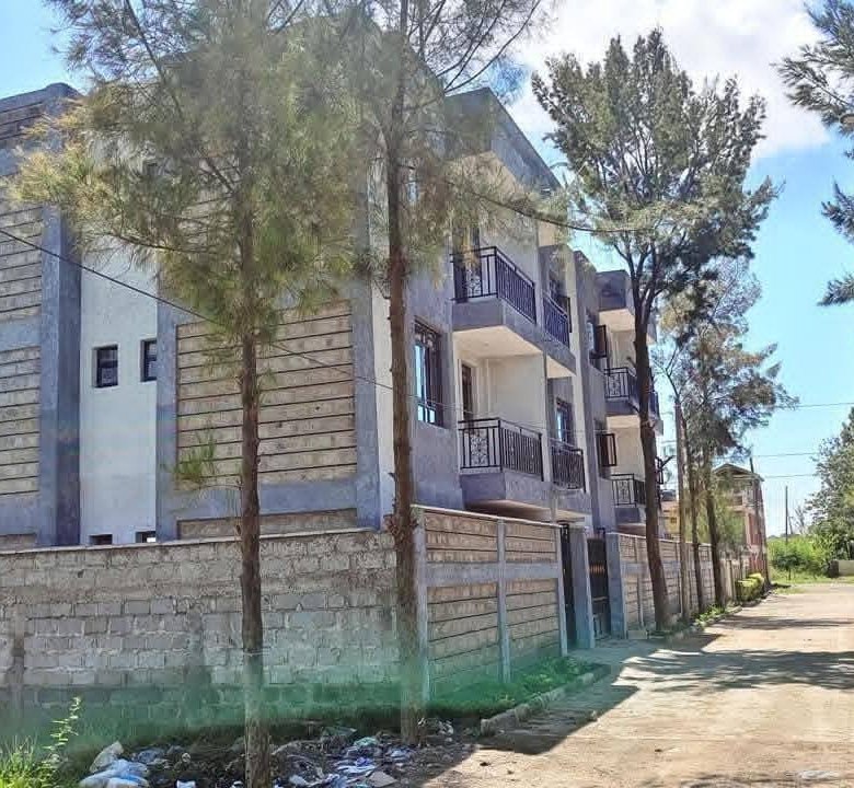 2 Bedroom Mini-Flat For Rent In Syokimau,Katani Road.