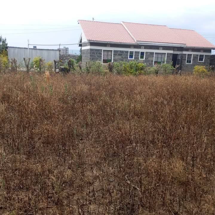 3 Bedrooms Bungalow To Let Ngong Vet