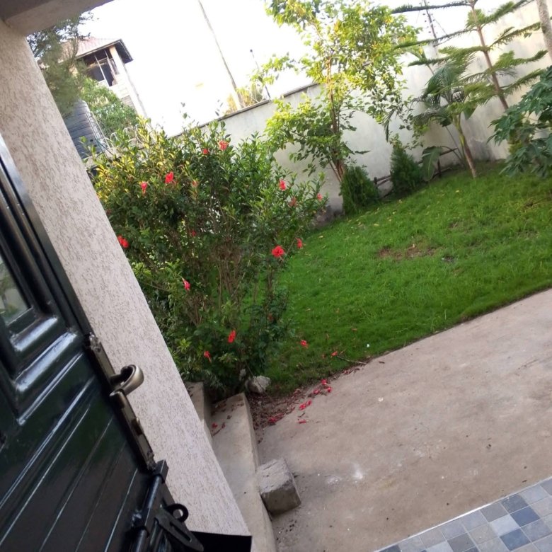 3 Bedrooms Bungalow To Let Ngong Vet