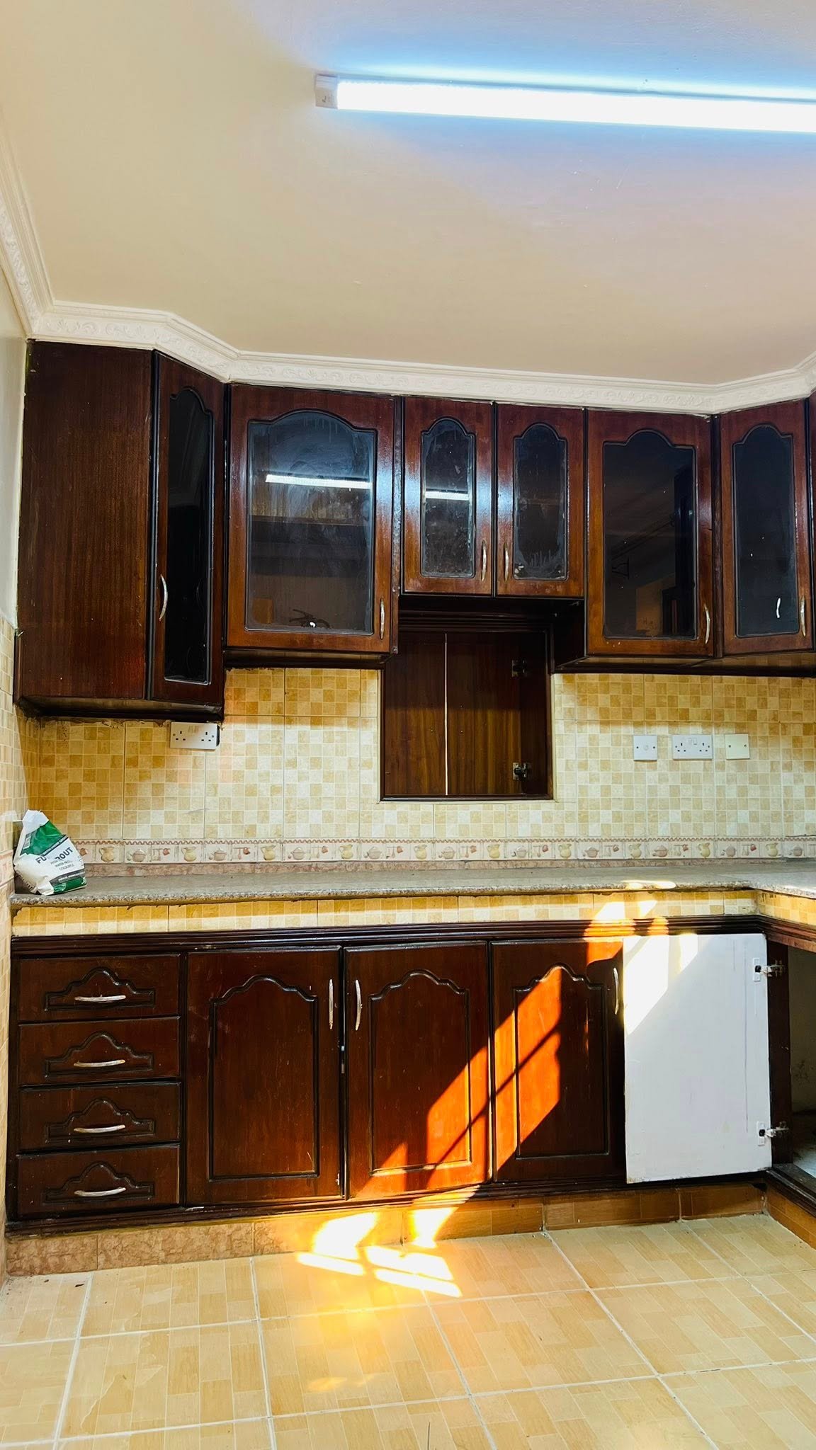 4 Bedrooms Plus one Bedroom DSQ to rent in Utawala