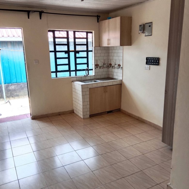 BEDSITTERS TO LET NGONG VET