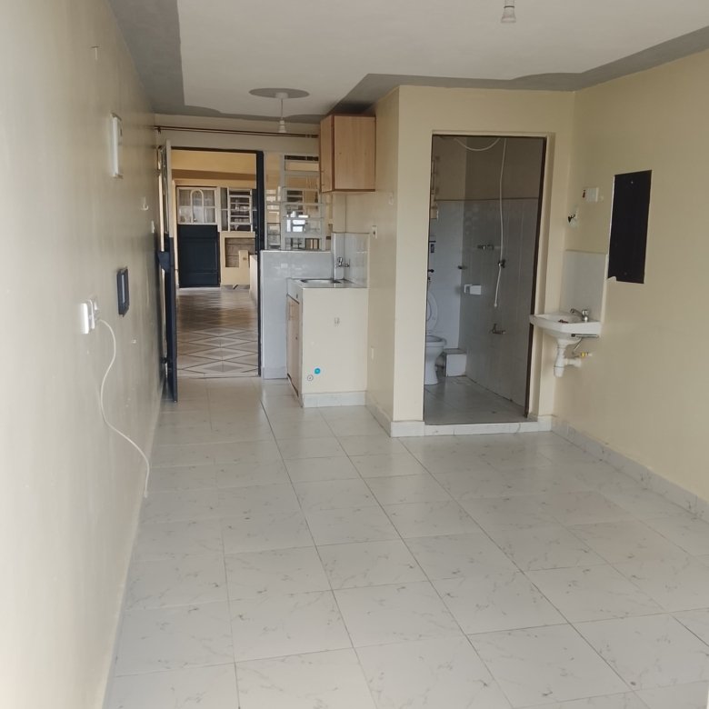 Spacious Bedsitter to let at Kasarani Garage