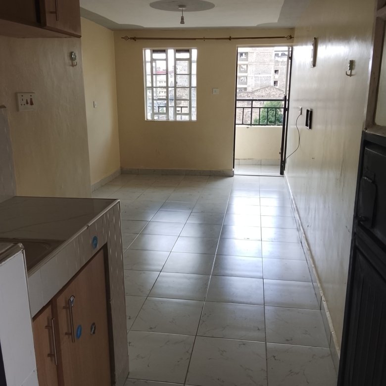 Spacious Bedsitter to let at Kasarani Garage
