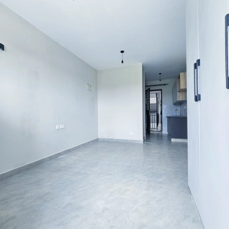 Studio Apartment To Let in Lower Kabete