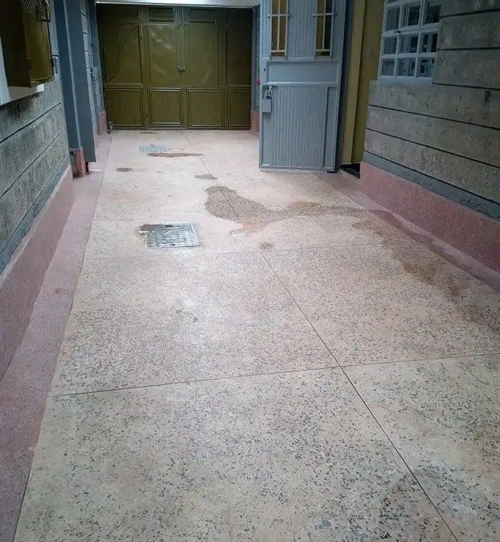 1 Bedroom Apartment To Let in Umoja 3 (Mungetho)