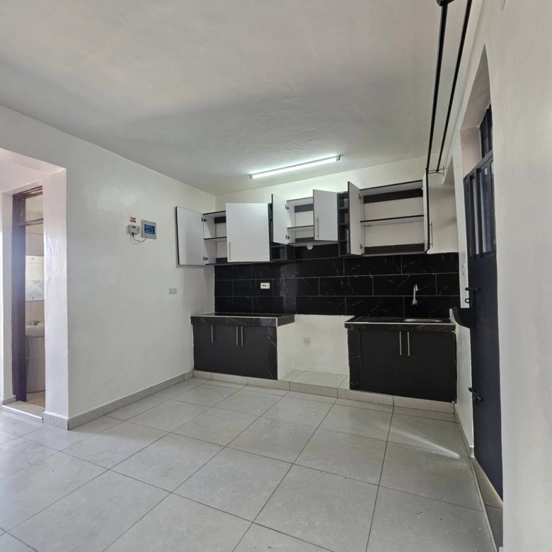 1 Bedroom Master Ensuite To Let Along Waiyaki Way