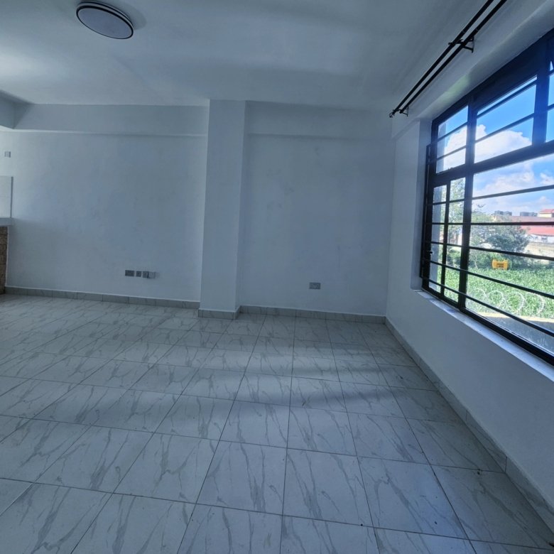Modern Studio To Let Along Waiyaki Way (87 Area)