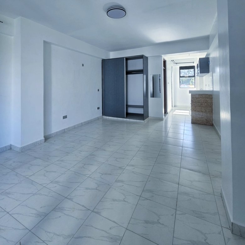 Modern Studio To Let Along Waiyaki Way (87 Area)
