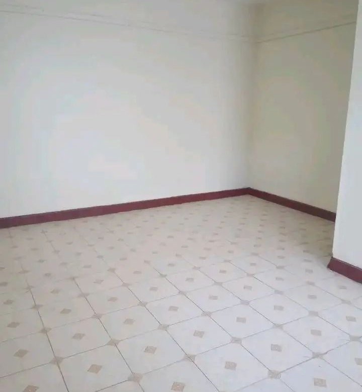 1 Bedroom Apartment To Let in Tena Near Joy Gardens 2