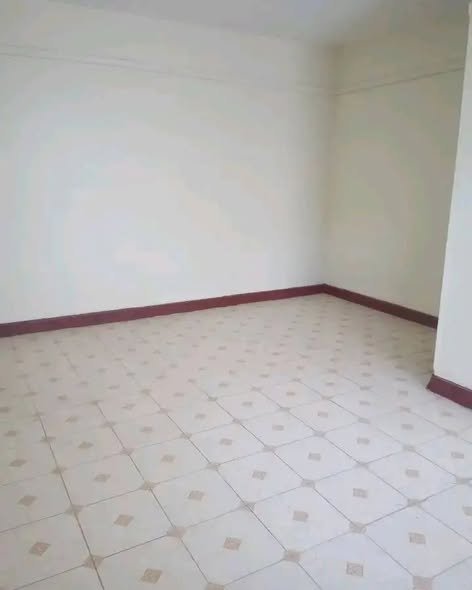 1 Bedroom Apartment To Let in Tena Near Joy Gardens 2