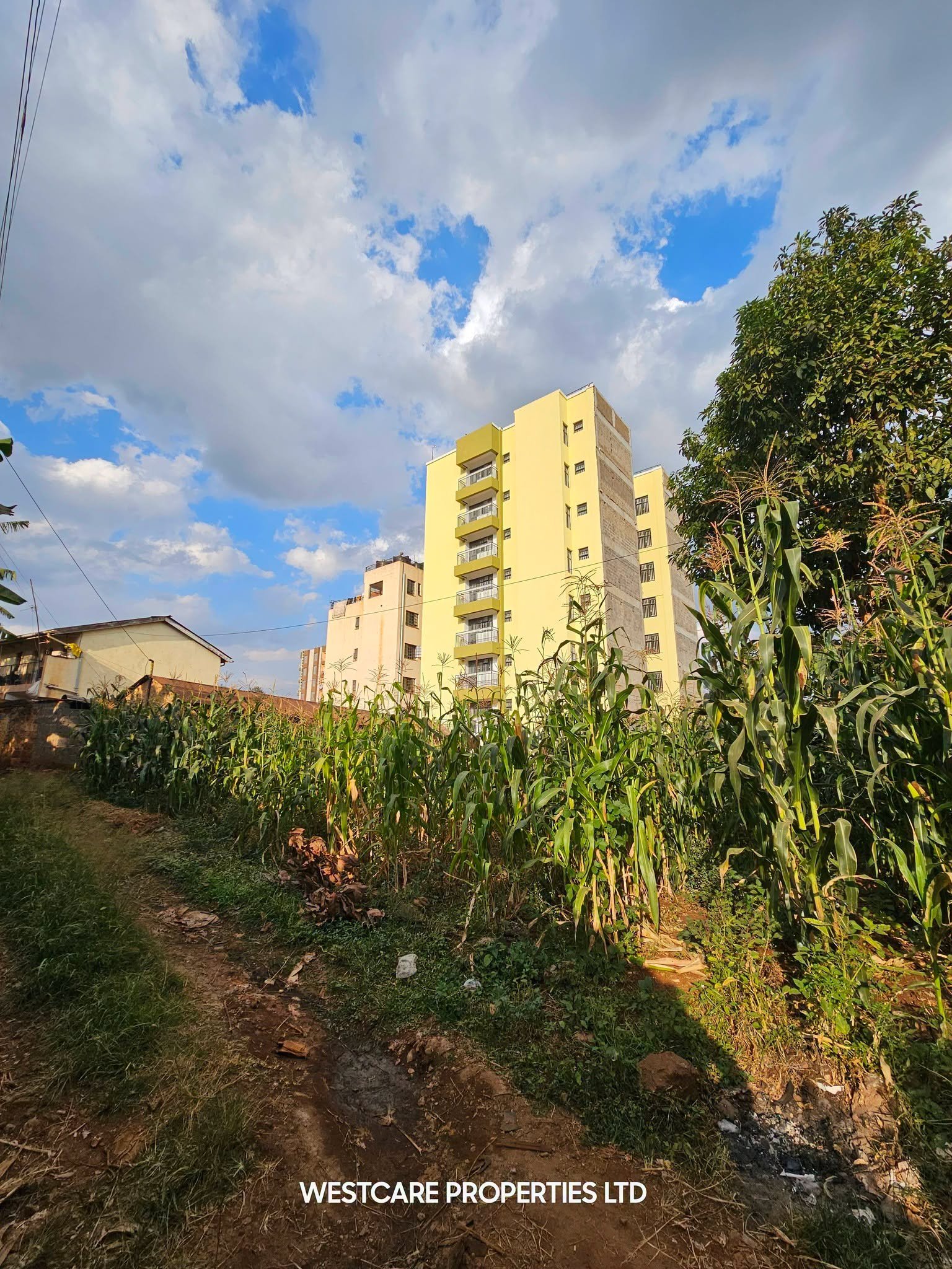 Prime Commercial Plot for Sale in Kiambu Town