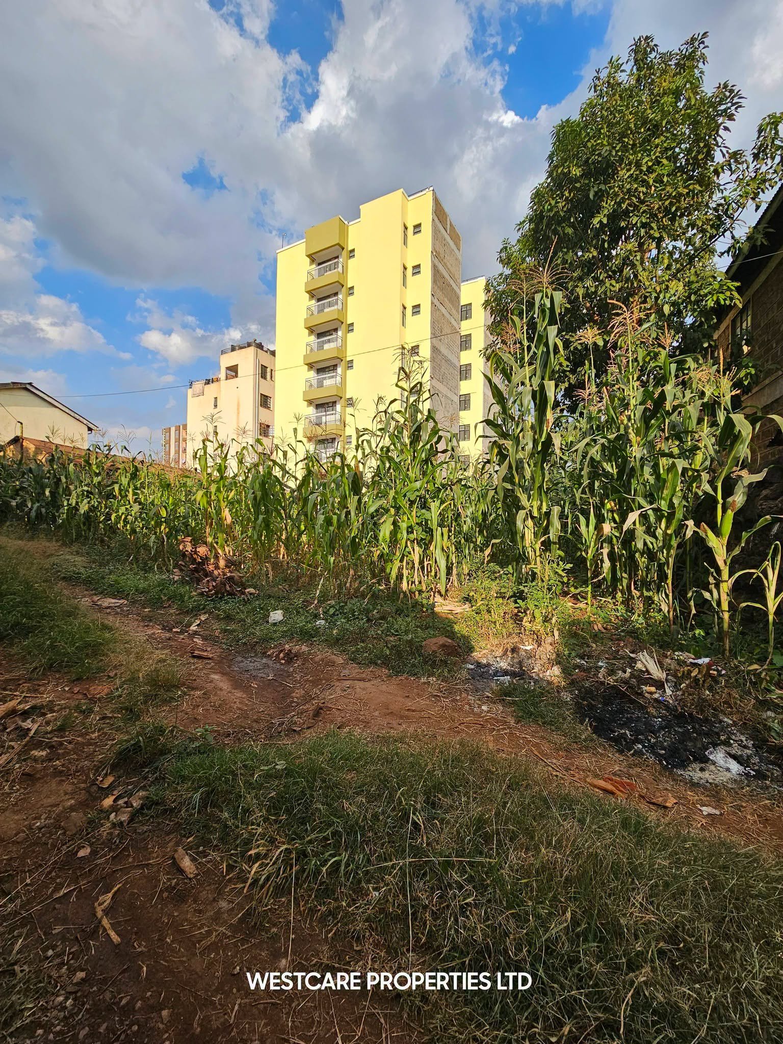 Prime Commercial Plot for Sale in Kiambu Town
