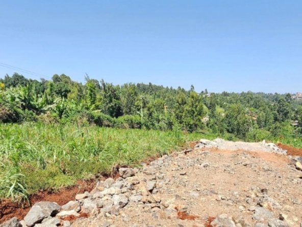 50 by 100 Plots for Sale in Kiambu Town (Kangoya)