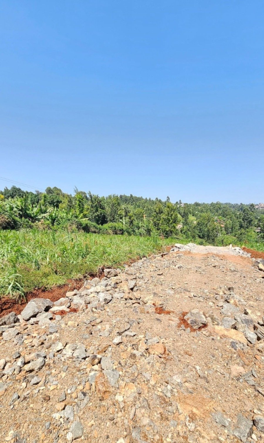 50 by 100 Plots for Sale in Kiambu Town (Kangoya)