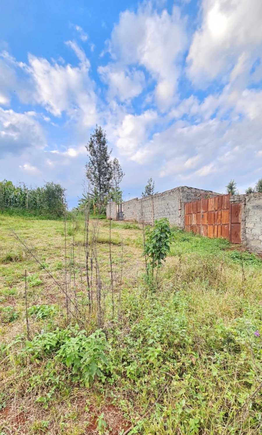 50 by 100 Residential Plot for Sale in Riabai, Kiambu Road