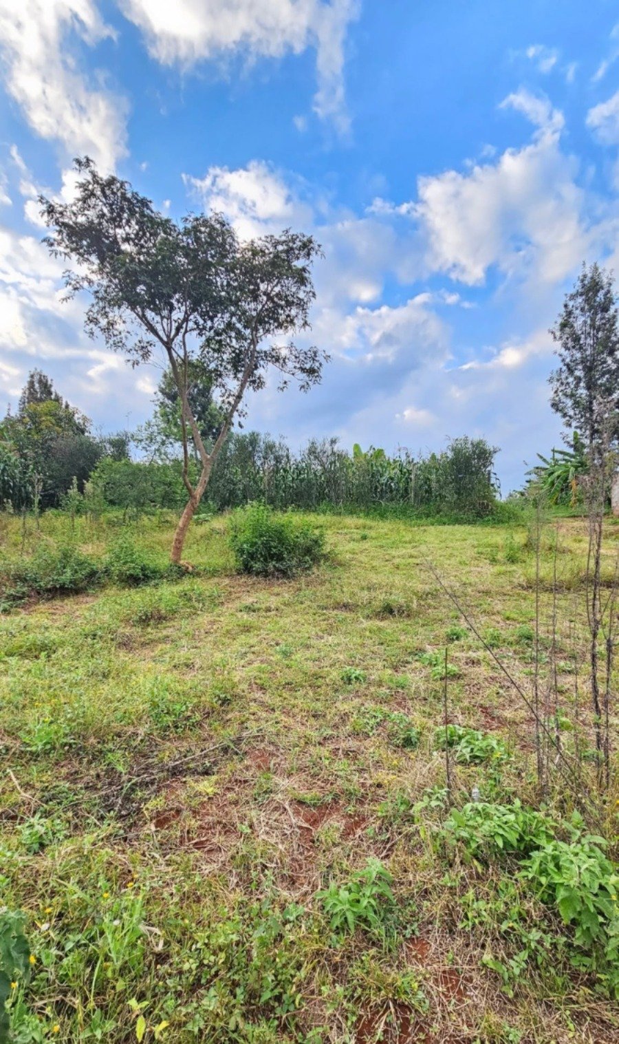 50 by 100 Residential Plot for Sale in Riabai, Kiambu Road