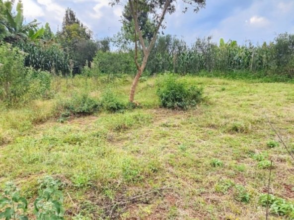 50 by 100 Residential Plot for Sale in Riabai, Kiambu Road